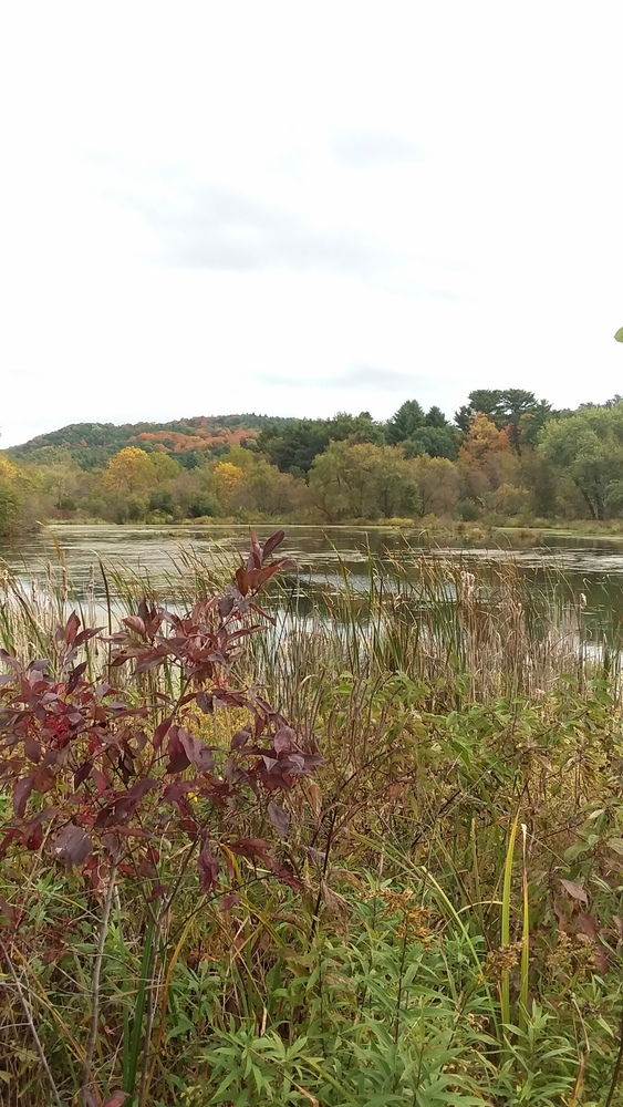 Kickapoo Valley Forest School Offers Opportunities for the Community