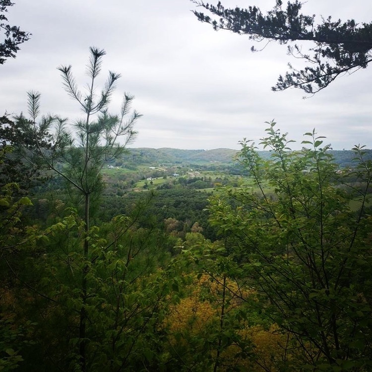 the view