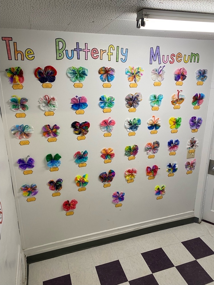 butterfly museum 1